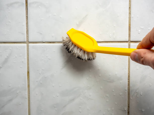 Best Local Mold Removal Service  in Rogersville, TN